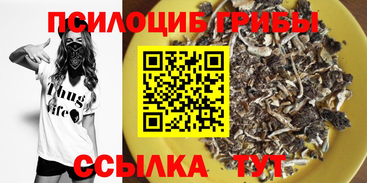 Галлюциногенные грибы Psilocybe Коломна
